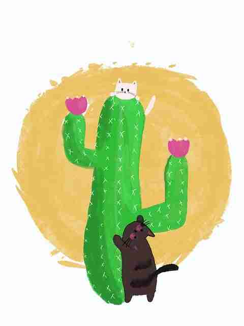 暗网功能模块崩溃分析｜封锁机制变化趋势引起用户恐慌