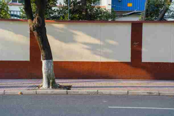 探花话题专题解读｜恋爱试镜片段内容深度被认可