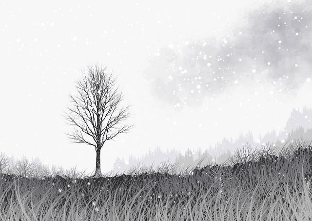 好色先生创作者幕后解读｜男性审美表达频道的视觉哲学