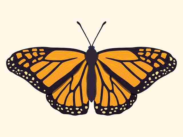 好色先生内容表达方式升级｜新栏目正式发布展现更多面向