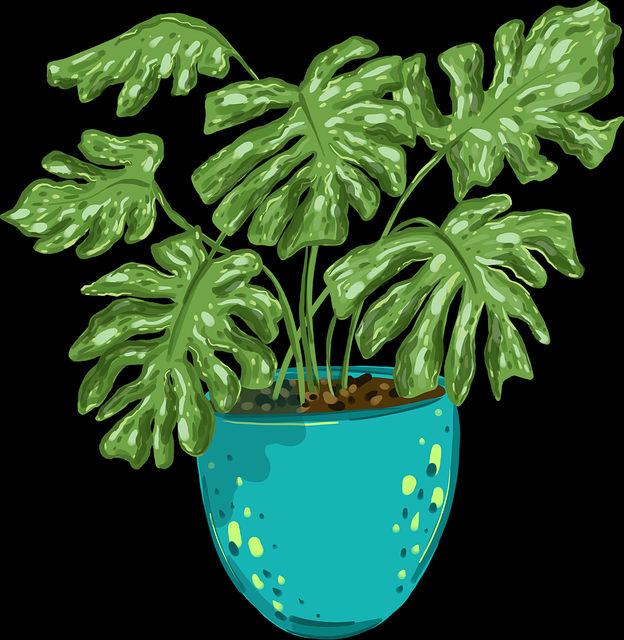 探花频道改版上线｜首次互动反应新主题带来惊喜