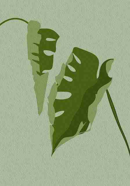 鉴黄师法律边界讲解｜误判案例合集工作中如何规避风险