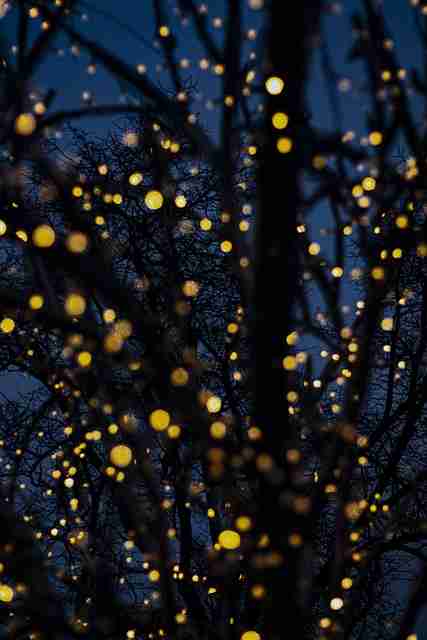 好色先生专题策划揭晓｜浪漫气质视觉表达引发情绪共鸣